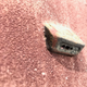 Image for article titled The Fossils of the 21st Century